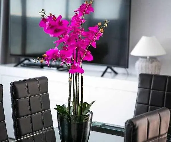 Two Dreams Luxury Corralejo